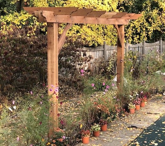 16' Brim Pergola - Cedar