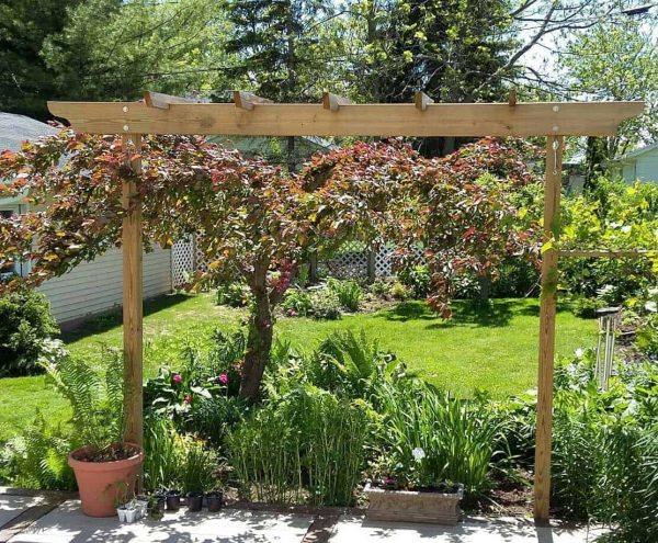 Pergola Walkway Trellis Kit The Brim Kits For Border Of Brim Pergola Kit