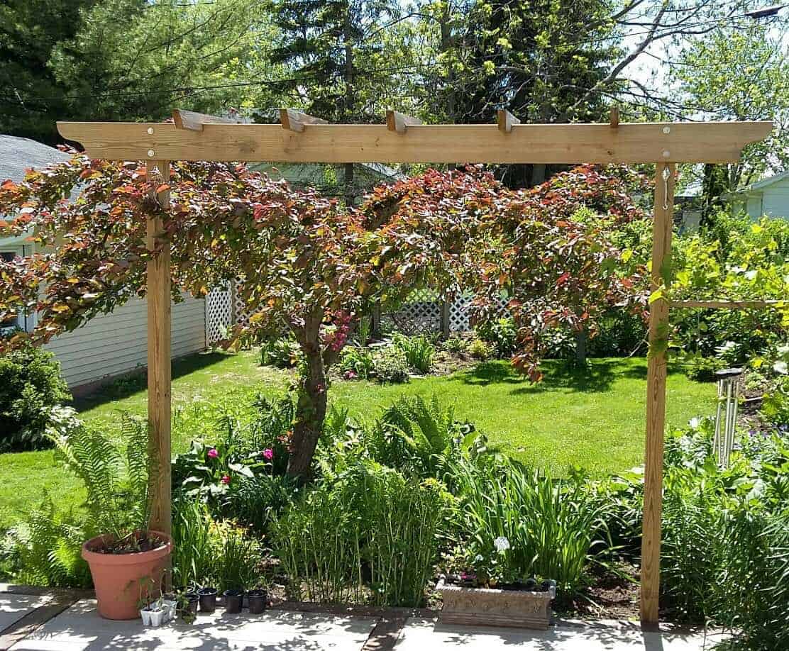 Pergola Trellis Shop the Brim Pergola Walkway Trellis Kit Online at
