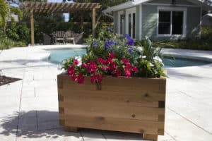 Planter Box Outside of Pool