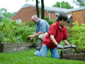 A father and son landscaping and gardening