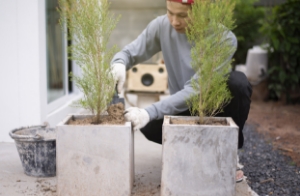 Landscaping with potted plants