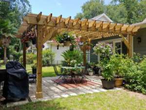 Potted plant arrangements