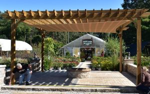 Pergola Depot Shade Sail