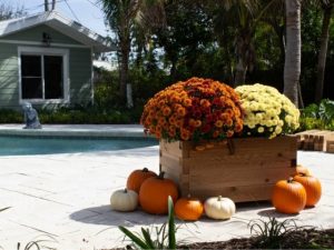 Patio Design Ideas Fall Planter